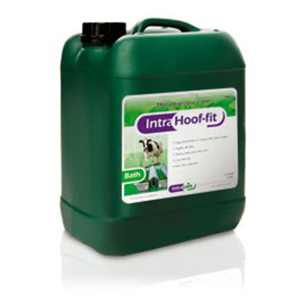 intra hoof fit bath cow hoof